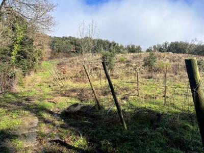 Acheter Terrain 