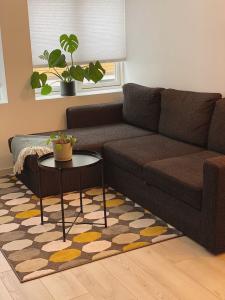 For rent Marseille Rue Ferdinand Rey 2 rooms 40 m2 Bouches du Rhone (13000) photo 0