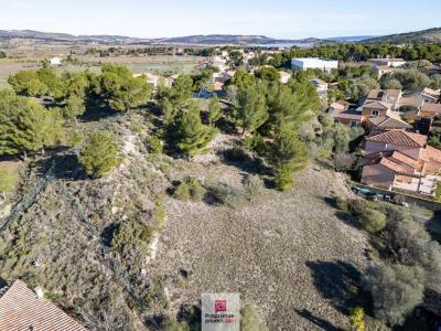 Annonce Vente Terrain Peyriac-de-mer 11
