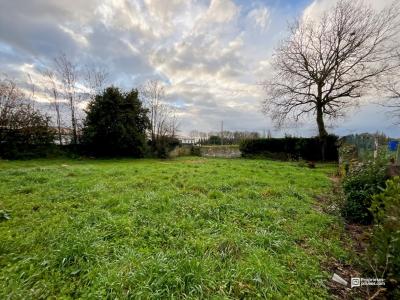 Annonce Vente Terrain Saint-andre-de-cubzac 33