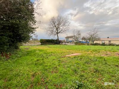 Acheter Terrain Saint-andre-de-cubzac 75000 euros