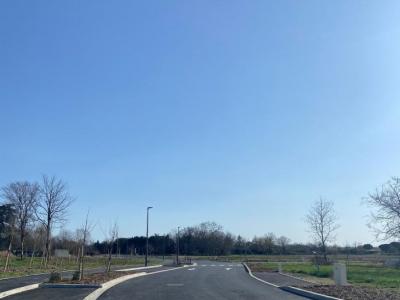 For sale Buzet-sur-tarn 358 m2 Haute garonne (31660) photo 0