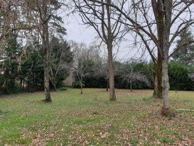 For sale Saint-caprais-de-bordeaux 1117 m2 Gironde (33880) photo 0