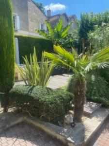 For rent Saint-emilion 1 room 35 m2 Gironde (33330) photo 1