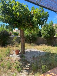 For sale Isle-sur-la-sorgue 5 rooms 92 m2 Vaucluse (84800) photo 3