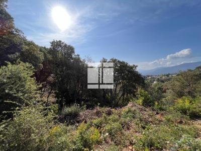 Annonce Vente Terrain Bastia 20