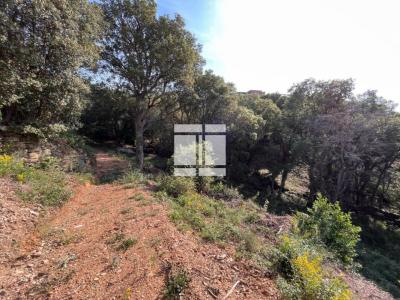 Acheter Terrain Bastia 298000 euros