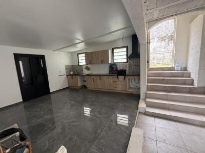 Annonce Vente 11 pi�ces Maison Saint-denis-chaudron 974