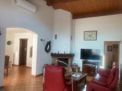 Annonce Vente 5 pi�ces Maison Limoux 11