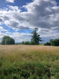 Annonce Vente Maison Sainte-croix-en-plaine 68