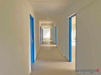 Acheter Bureau Sainte-marie-aux-mines 300000 euros