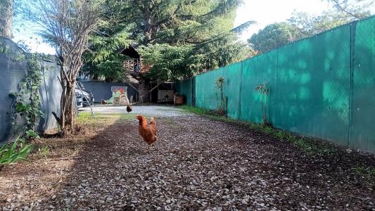 Acheter Maison  265650 euros