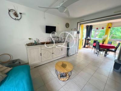 Annonce Vente 2 pi�ces Appartement Argeles-sur-mer 66