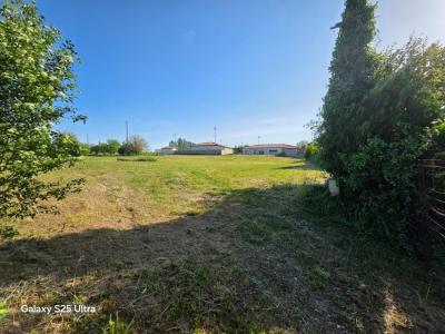Annonce Vente Terrain Pechbonnieu 31