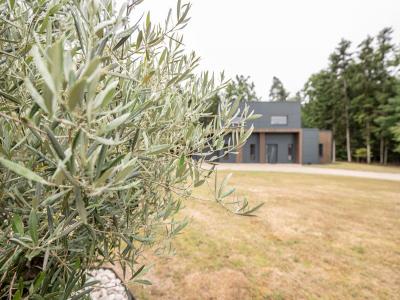 Acheter Maison Crouy-sur-cosson Loir et cher