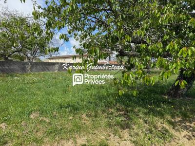 Acheter Terrain 690 m2 Lussac