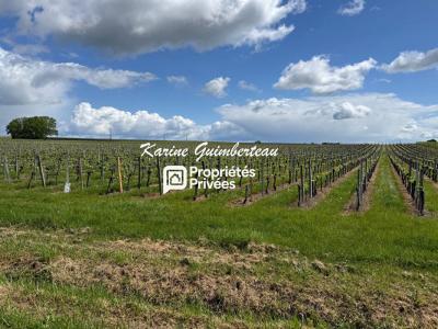 Acheter Terrain Lussac 65000 euros
