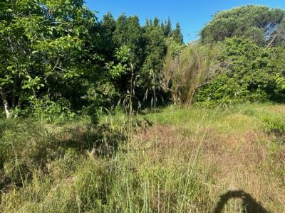 Annonce Vente Terrain Craponne 69