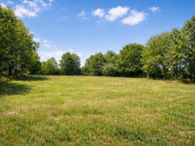 For sale Sillery 438 m2 Marne (51500) photo 0