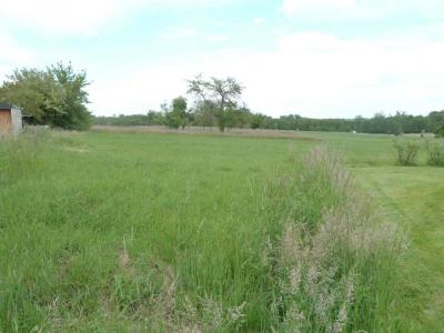 For sale Laubach 3027 m2 Bas rhin (67580) photo 0