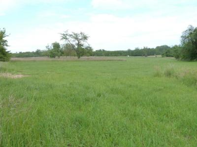 Annonce Vente Terrain Laubach 67