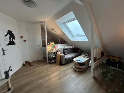 For rent Chateaubourg 2 rooms 18 m2 Ille et vilaine (35220) photo 0