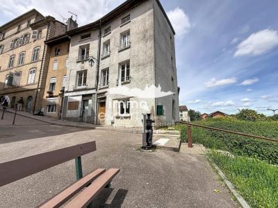 Annonce Vente Immeuble Mirecourt 88