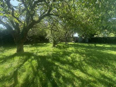 Acheter Maison 148 m2 Janville
