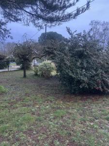 For sale Fargues-saint-hilaire 530 m2 Gironde (33370) photo 0