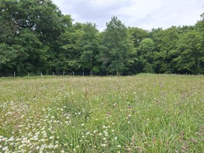 For sale Bouliac 1000 m2 Gironde (33270) photo 0