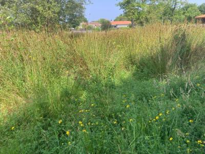 For sale Biscarrosse 530 m2 Landes (40600) photo 0