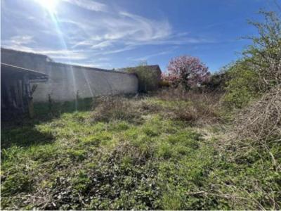 Annonce Vente 5 pi�ces Maison Paillencourt 59