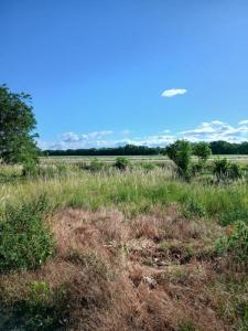 Annonce Vente Maison Sainte-croix-en-plaine 68