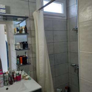 Louer Appartement Saint-egreve Isere