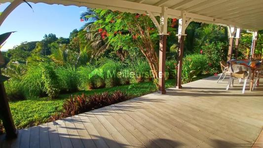 Annonce Location 3 pi�ces Appartement Deshaies 971