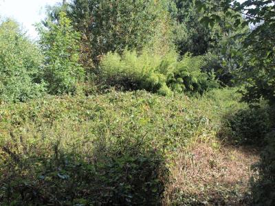 For sale Saint-gonnery 3 rooms 110 m2 Morbihan (56920) photo 0