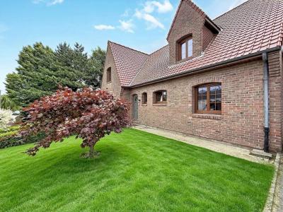 Annonce Vente 7 pi�ces Maison Eecke 59