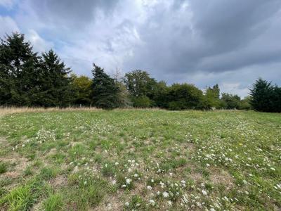 Annonce Vente Terrain Chapelle-sur-aveyron 45