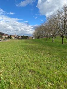 For sale Saint-blaise-du-buis 479 m2 Isere (38140) photo 0