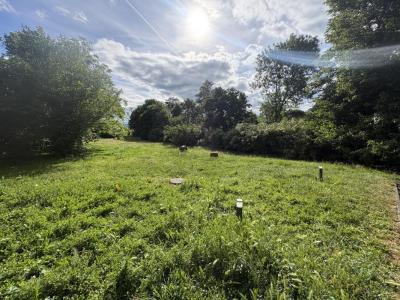Acheter Terrain 600 m2 Tassin-la-demi-lune