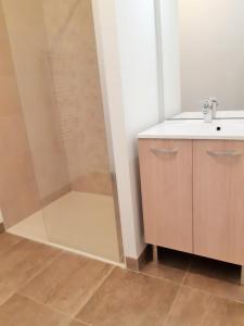 Louer Appartement 40 m2 Saint-cyr-sur-loire