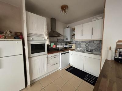 Annonce Location 2 pi�ces Appartement Rennes 35