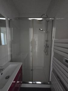 Louer Appartement Nancy 495 euros