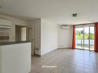 Annonce Location 2 pi�ces Appartement Toulouse 31