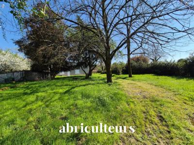 Acheter Maison 162 m2 Cognac