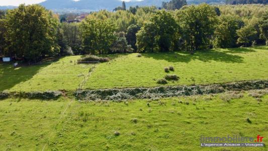 Annonce Vente Terrain Taintrux 88