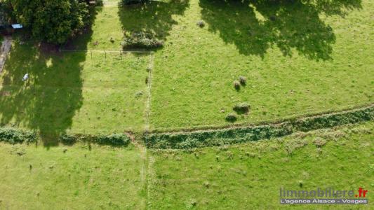 Acheter Terrain 9050 m2 Taintrux