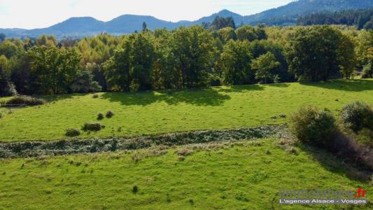 Acheter Terrain Taintrux Vosges