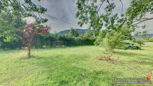Acheter Terrain Nayemont-les-fosses Vosges