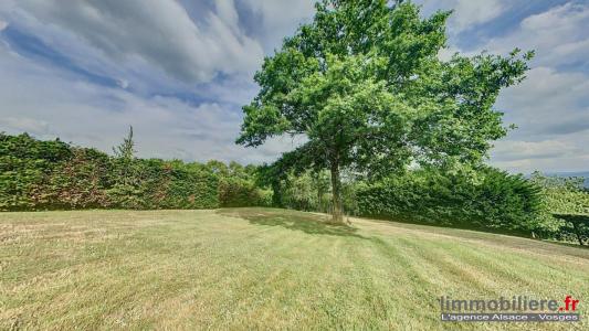 Acheter Terrain Nayemont-les-fosses 176550 euros